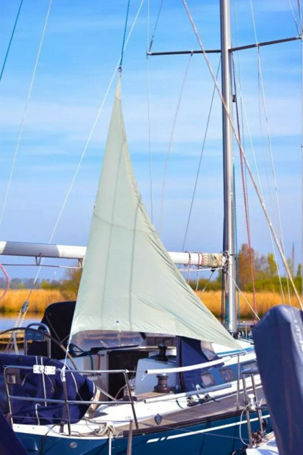 Blue Performance Sunshade triangle - M 