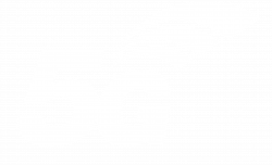 5G Specialists since 2019