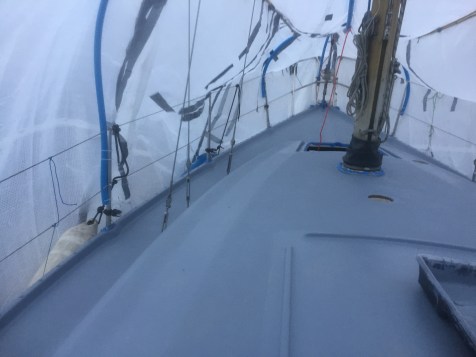 Interprotect done 2