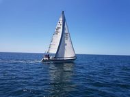 Westerly Storm OD