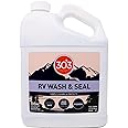 303 Products RV Wash & Seal - Clean, Streak-Free Finish, pH Neutral with High Foaming Formula, Provides A Deep Gloss Finish o