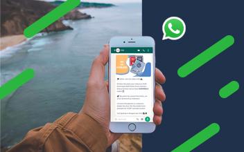 Whatsapp & SMS