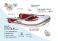 AEROTEND 310 Yacht Tender / inflatable floor / 3.5-person / 3.10 mPreview image