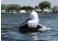 NEMO 230 + HONDA BF 2.3 Dinghy Set / dark bluePreview image