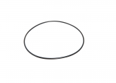 Image of O-Ring for WC Motor