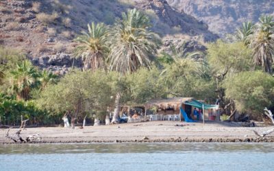 Sailing the Sea of Cortez: La Paz to Puerto Escondido