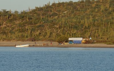 Sailing the Sea of Cortez: San Carlos to La Paz
