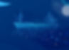 GloFouling Partnerships R&D Forum_Background_edited.jpg