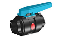 Trudesign Composite BSP Ball Valve - Manual