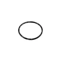 O-Ring - Genuine