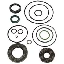 Gasket & Seal Kit - Genuine - MS2